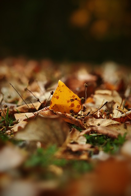 的图片中可 的图片中可