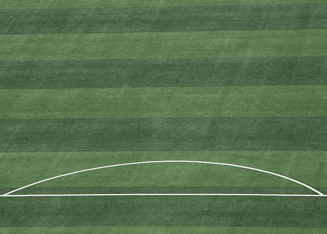 的影响力 的影响力