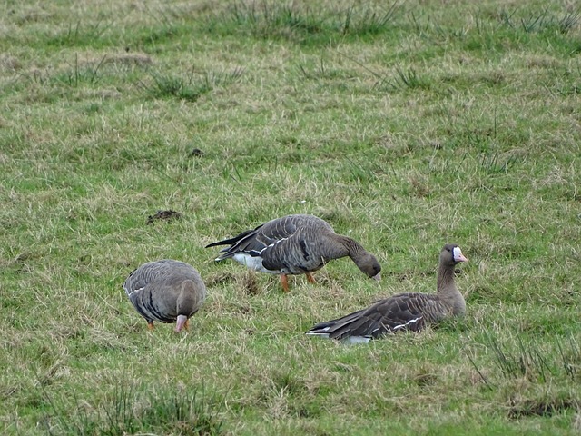 多领域项目 多领域项目