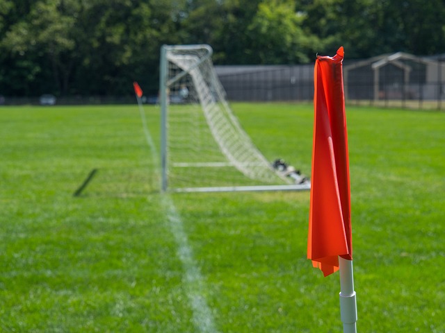 分上的胜利 分上的胜利