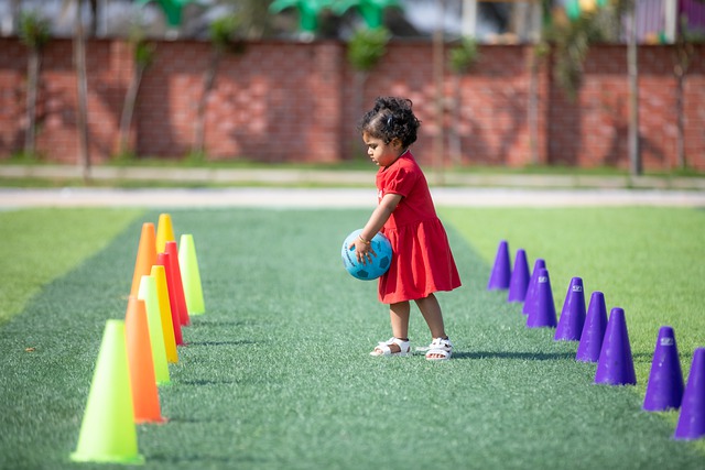 洲经济的领 洲经济的领