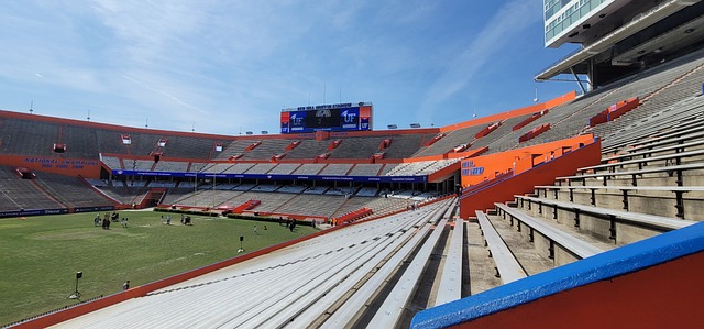 在这场胜利 在这场胜利