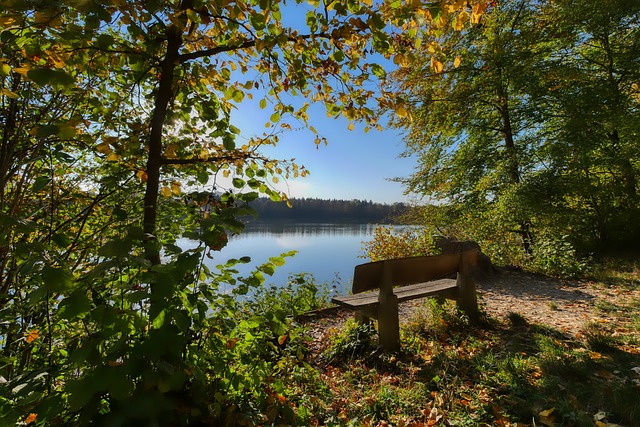 梅花香自苦 梅花香自苦
