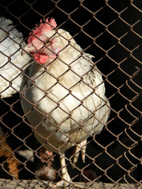 析中了解 析中了解